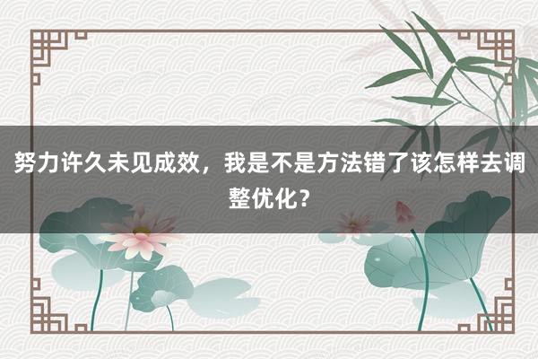 努力许久未见成效，我是不是方法错了该怎样去调整优化？