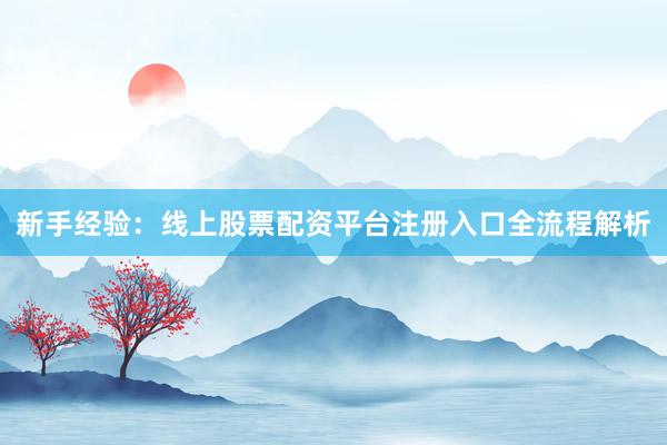 新手经验：线上股票配资平台注册入口全流程解析